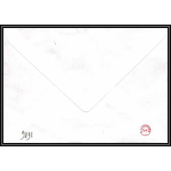 71550 porte timbre 1988 gorfou sauteur oiseaux birds collectionnez les plis des terres australes taaf lettre cover