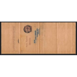 4089/ Argentine (Argentina) Entier Stationery Bande pour journal newspapers wrapper 2c marron