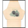 4136/ Argentine (Argentina) Entier Stationery Enveloppe (cover) 5C VERT neuf (mint) tb