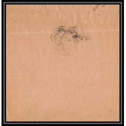 4197/ Argentine (Argentina) Entier Stationery Bande pour journal newspapers wrapper N°41 1917