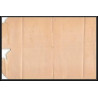 4212/ Argentine (Argentina) Entier Stationery Bande pour journal newspapers wrapper N°8 1889 neuf (mint) 