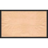 4232/ Argentine (Argentina) Entier Stationery Bande pour journal newspapers wrapper N°8 1889