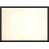 4287/ Nations Unies (united nations) Entier Stationery Carte postale (postcard) 1982 neuf (mint) tb