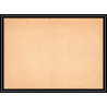 4601 deutsche reich von schiller neuf carte postale Allemagne (germany) Entier postal Stationery