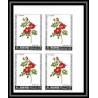 377a - Manama MNH ** Mi N° 170 / 175 B non dentelé (Imperf) fleurs flowers Roses bloc 4