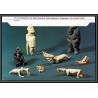 097063 gronland groenland 19/6/1978 GREENLAND EXPEDITION arctique arctic north pole