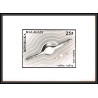 2806 N°519 coquillage shell 1973 volva volva Epreuve photo noir et blanc proof madagascar