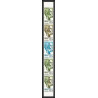 90471b Tchad N°210 FOOTBALL soccer Essai proof Non dentelé imperf ** MNH bande 5