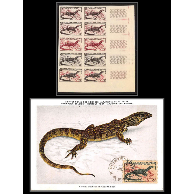 90974 N°231 varan varanus Essai proof Non dentelé imperf ** MNH bloc 10 carte maximum 1955 afrique équatoriale AEF 
