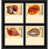 91821d Viet Nam (Vietnam) du nord N°668/671 mi 610/613 coquillages shells shell 1970 Non dentelé imperf 