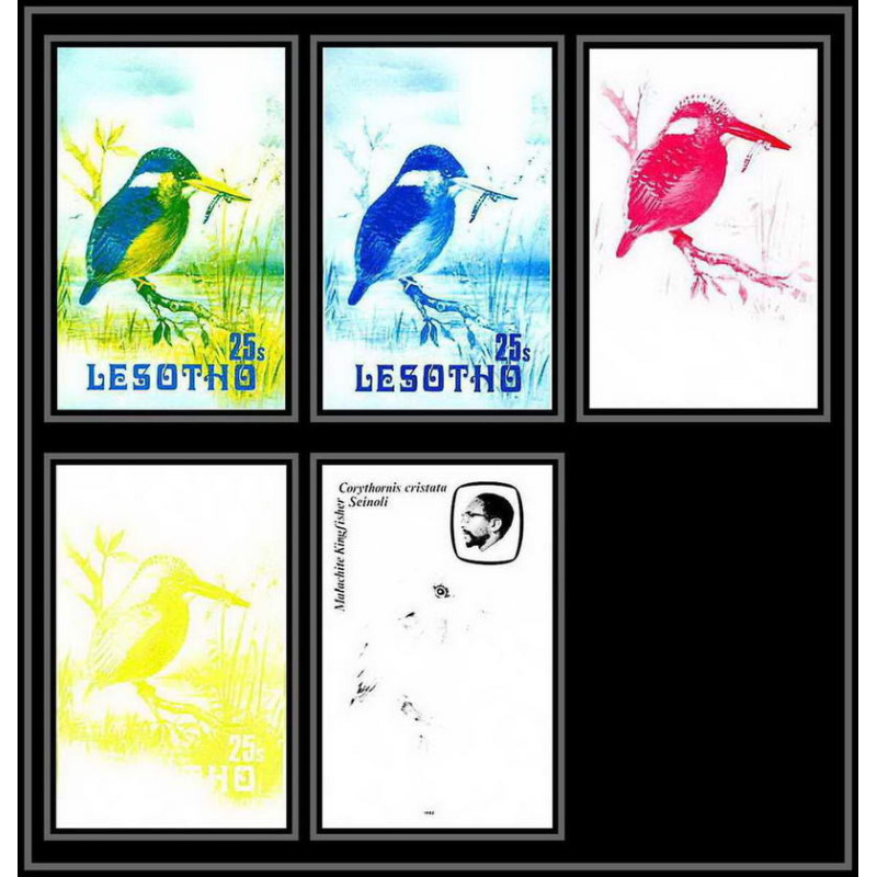 91869b Lesotho N°449 Martin-pêcheur kingfisher oiseaux bird birds Essai proof Non dentelé imperf mnh **