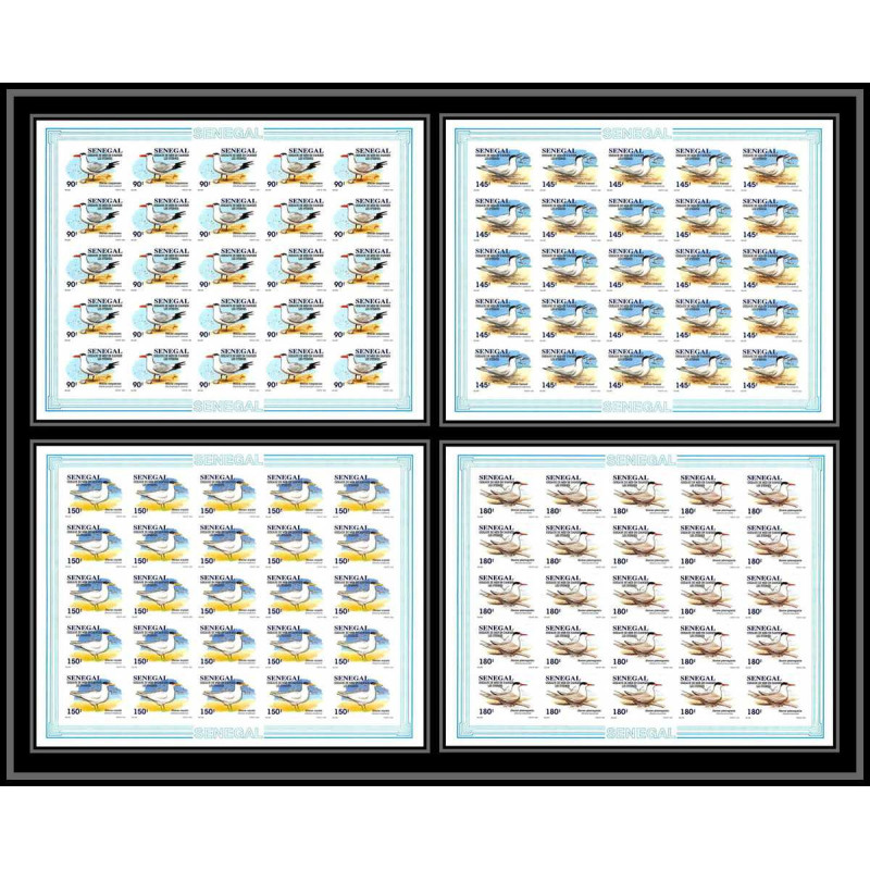 92732 Sénégal N°1153/1156 sterne oiseaux de mer Seabird birds tern Non dentelé ** MNH Imperf feuille sheet