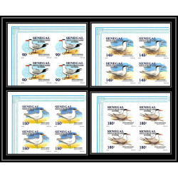 92732a Sénégal N°1153/1156 sterne oiseaux de mer Seabird birds tern Non dentelé ** MNH Imperf bloc 4