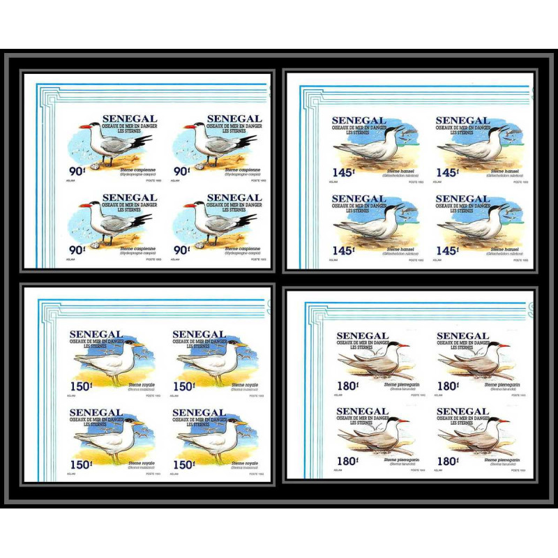 92732a Sénégal N°1153/1156 sterne oiseaux de mer Seabird birds tern Non dentelé ** MNH Imperf bloc 4