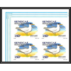 92732a Sénégal N°1153/1156 sterne oiseaux de mer Seabird birds tern Non dentelé ** MNH Imperf bloc 4