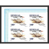 92732a Sénégal N°1153/1156 sterne oiseaux de mer Seabird birds tern Non dentelé ** MNH Imperf bloc 4