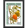 92765b burkina faso N°872 saba senegalensis laaré fruit sauvage wild Non dentelé ** MNH Imperf