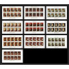 465 Ajman MNH ** N° 225 / 234 A Tableau (Painting) durer rubens vermeer caravaggio feuilles sheets
