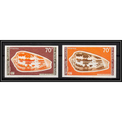 93427 afars et issas N°427 conus striatus mollusque conidae Essai proof Non dentelé imperf ** MNH