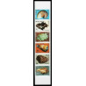 94206c Wallis et Futuna N°323/328 coquillages Shell shells Non dentelé ** MNH Imperf strip bande