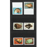 94206d Wallis et Futuna N°323/328 coquillages Shell shells Non dentelé ** MNH Imperf