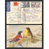 10234 1ère liaison aérienne directe par TAI france polynésie carte postale postacard originale faite main oiseaux birds