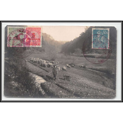 12828 train Railway deutsche reichsbahn zweibrücken 1923 alsace moutons carte postale photo postcard reich reich germany