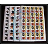 599b Nukulaelae tuvalu ** MNH 1985 mi N° 33 / 40 Chiens (chien dog dogs) Overprint specimen Proof feuilles sheets