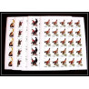 654c Sharjah - MNH ** Mi N° 1036 / 1040 B oiseaux (bird birds oiseau) grouse pigeon non dentelé imperf feuilles sheets