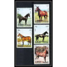 659 Sharjah - MNH ** Mi N° 1006 / 1010 A cheval (chevaux horse horses) 