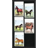 660a Sharjah - MNH ** Mi N° 1006/1010 B non dentelé (Imperf) cheval (chevaux horse horses) 