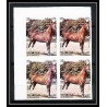 660b Sharjah - MNH ** Mi N° 1006/1010 B non dentelé (Imperf) cheval (chevaux horse horses) Bloc 4
