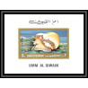 https://philexx.fr/import_images/PHOTOS%20VENTES/emiratsbis/90-01.jpg