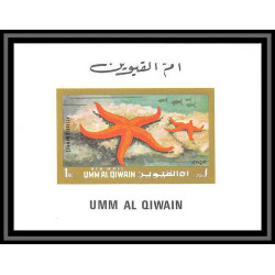 https://philexx.fr/import_images/PHOTOS%20VENTES/emiratsbis/90-02.jpg