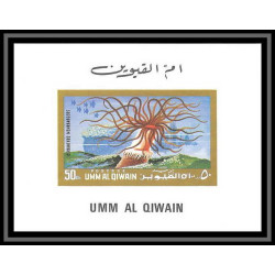 https://philexx.fr/import_images/PHOTOS%20VENTES/emiratsbis/90-06.jpg
