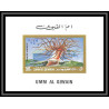 https://philexx.fr/import_images/PHOTOS%20VENTES/emiratsbis/90-06.jpg