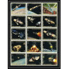 671 - yemen kingdom - MNH ** Mi N° 726 / 740 A apollo programme espace (space) mission to the moon