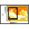 https://philexx.fr/import_images/PHOTOS%20VENTES/emiratsbis/4716-04x2.jpg