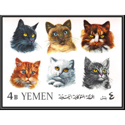https://philexx.fr/import_images/PHOTOS%20VENTES/emiratsbis/4003x2.jpg