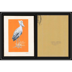 3045 ajman N°398 Bec-en-sabot oiseaux birds shoebill Maquette d'artiste original artist work signed Froehlich 1969