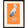 3045 ajman N°398 Bec-en-sabot oiseaux birds shoebill Maquette d'artiste original artist work signed Froehlich 1969