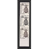France Taxe N°105 insectes coleopteres beetle insects Essai trial proof Non dentelé ** imperf bande de 3 couleurs