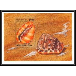 80651 maldives YT BF N°286 Cypraecassis rufa TB neuf ** MNH Shells coquillage 1993