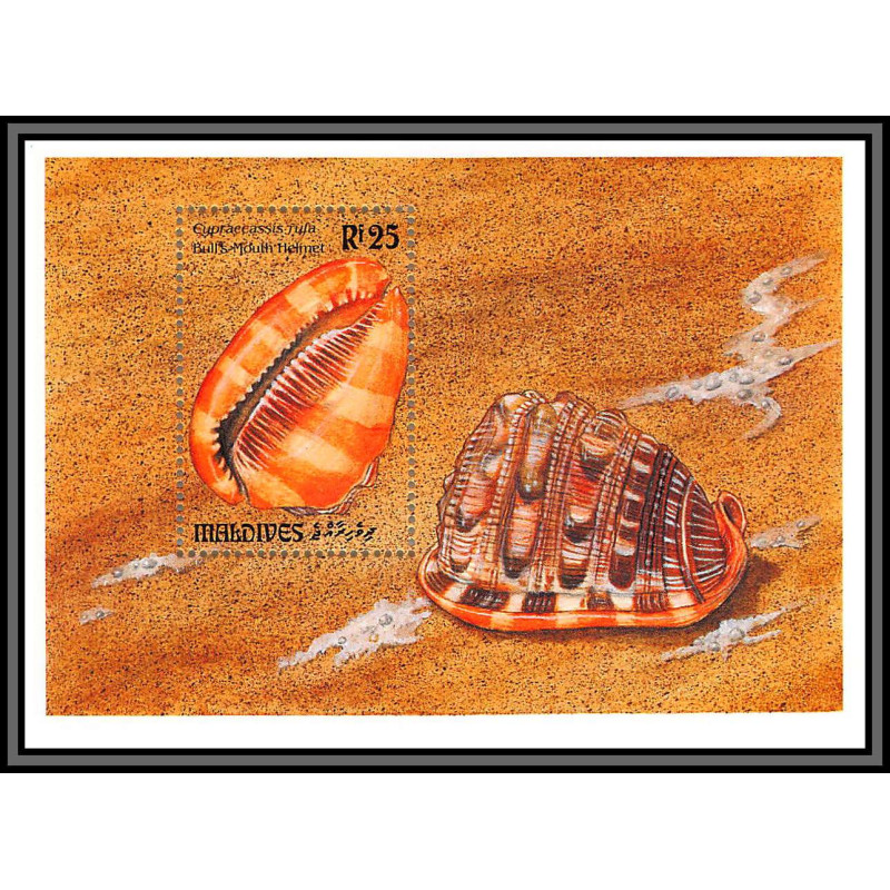 80651 maldives YT BF N°286 Cypraecassis rufa TB neuf ** MNH Shells coquillage 1993