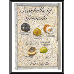 80657 Seashells of grenada mi N°343 TB neuf ** MNH poissons fishes lumpet Shells 1993
