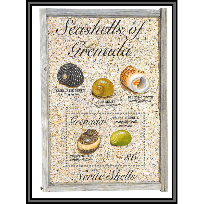 80657 Seashells of grenada mi N°343 TB neuf ** MNH poissons fishes lumpet Shells 1993