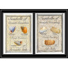 80657a Seashells of grenada grenadines mi N°279/280 periwinkle shells TB neuf ** MNH poissons fishes Bigorneau 1993