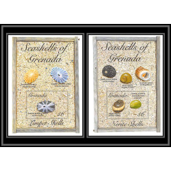 80657b Seashells of grenada mi N°342/343 TB neuf ** MNH poissons fishes lumpet Shells 1993