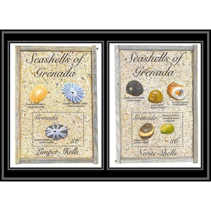 80657b Seashells of grenada mi N°342/343 TB neuf ** MNH poissons fishes lumpet Shells 1993