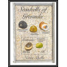 80657b Seashells of grenada mi N°342/343 TB neuf ** MNH poissons fishes lumpet Shells 1993